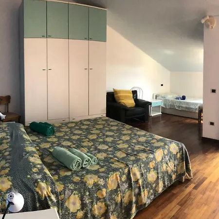 Dacapo * 托尔托利